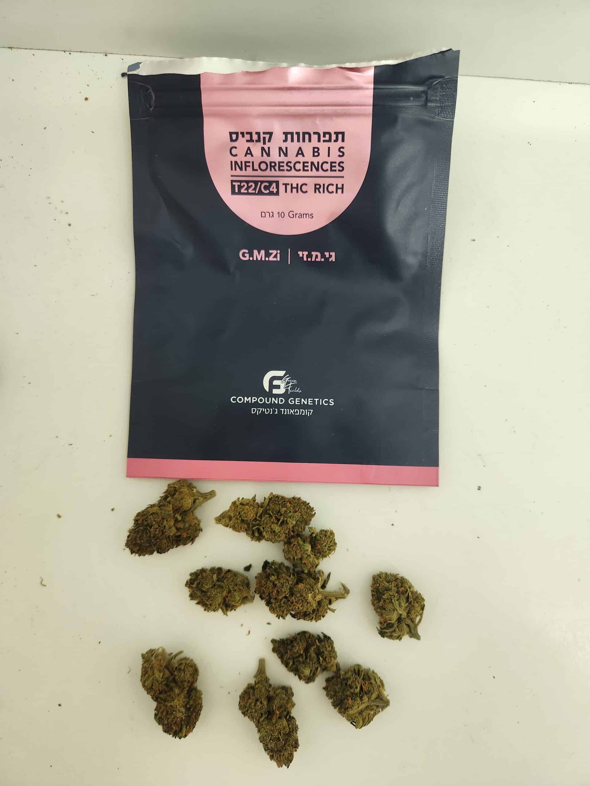 גי.מ.זי (G.M.Zi) – אינדיקה T22/C4