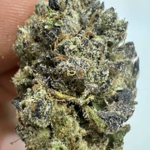 גר.ליקס (Gar.Lix) – אינדיקה T22/C4