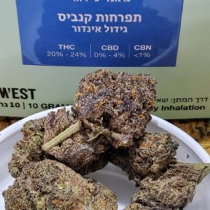 גראנדי ג'י.יו.וי (Grandi G.U.V) – סאטיבה T22/C4