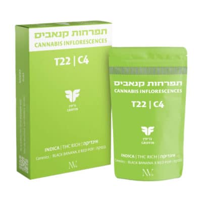 גריפין (Griffiin) – אינדיקה T22/C4