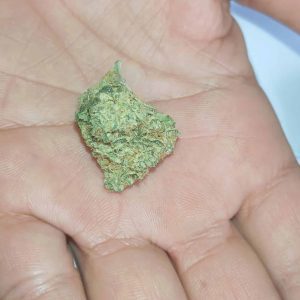 דדו (Dedo) – אינדיקה T22/C4