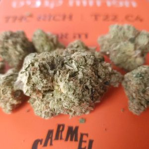 דה אף (The AF) – סאטיבה T22/C4