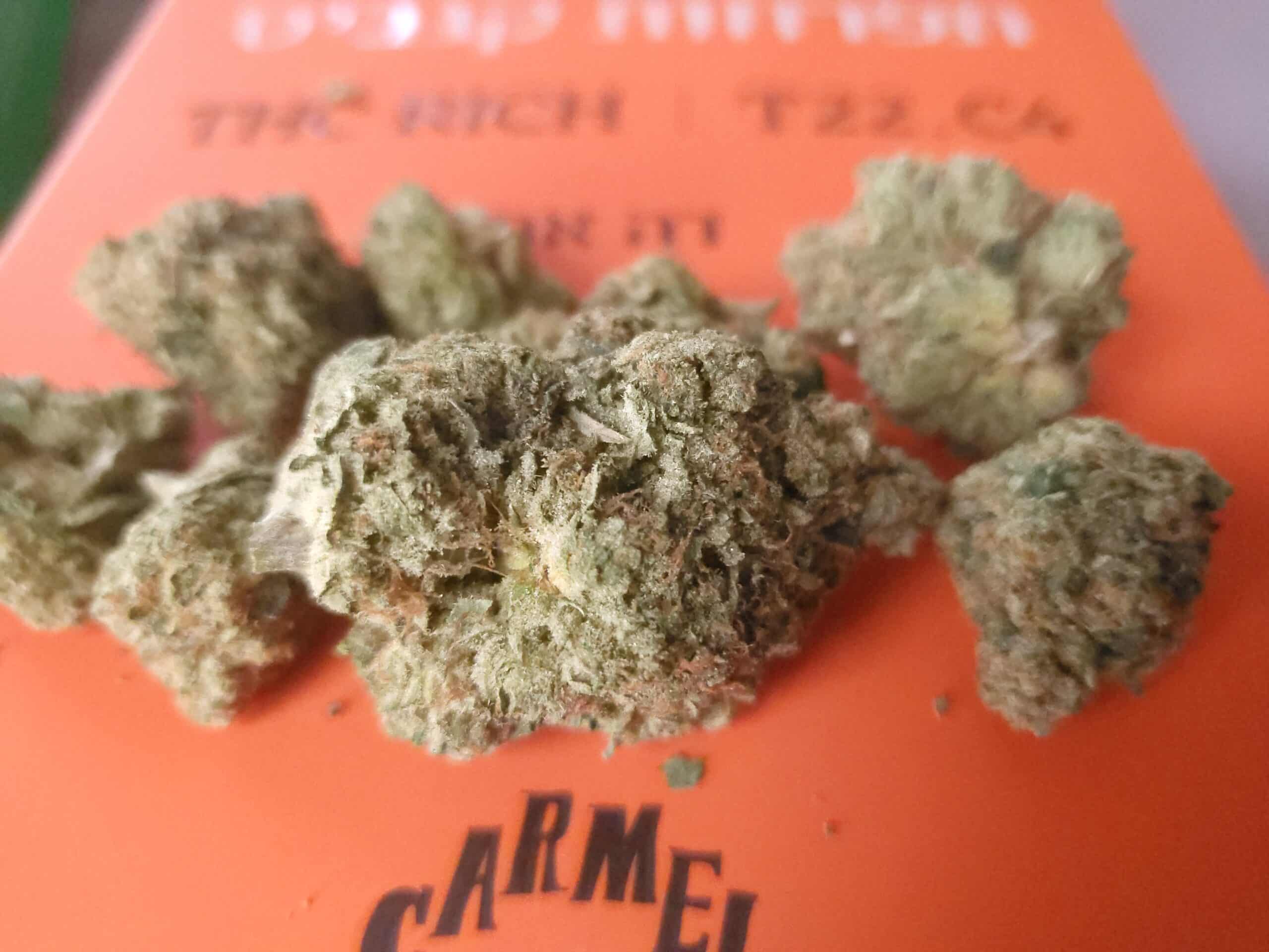 דה אף (The AF) – סאטיבה T22/C4