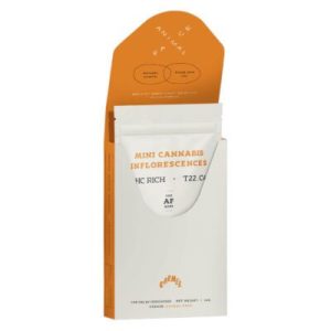 דה אף מיני (The AF Mini) – סאטיבה T22/C4