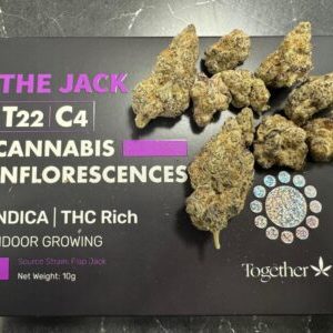 דה ג'ק (The Jack) – אינדיקה T22/C4