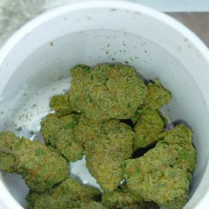 דו סי דו (Do Si Do) – היבריד T22/C4