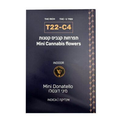 דונטלו מיני (Donatello Mini) – אינדיקה T22/C4