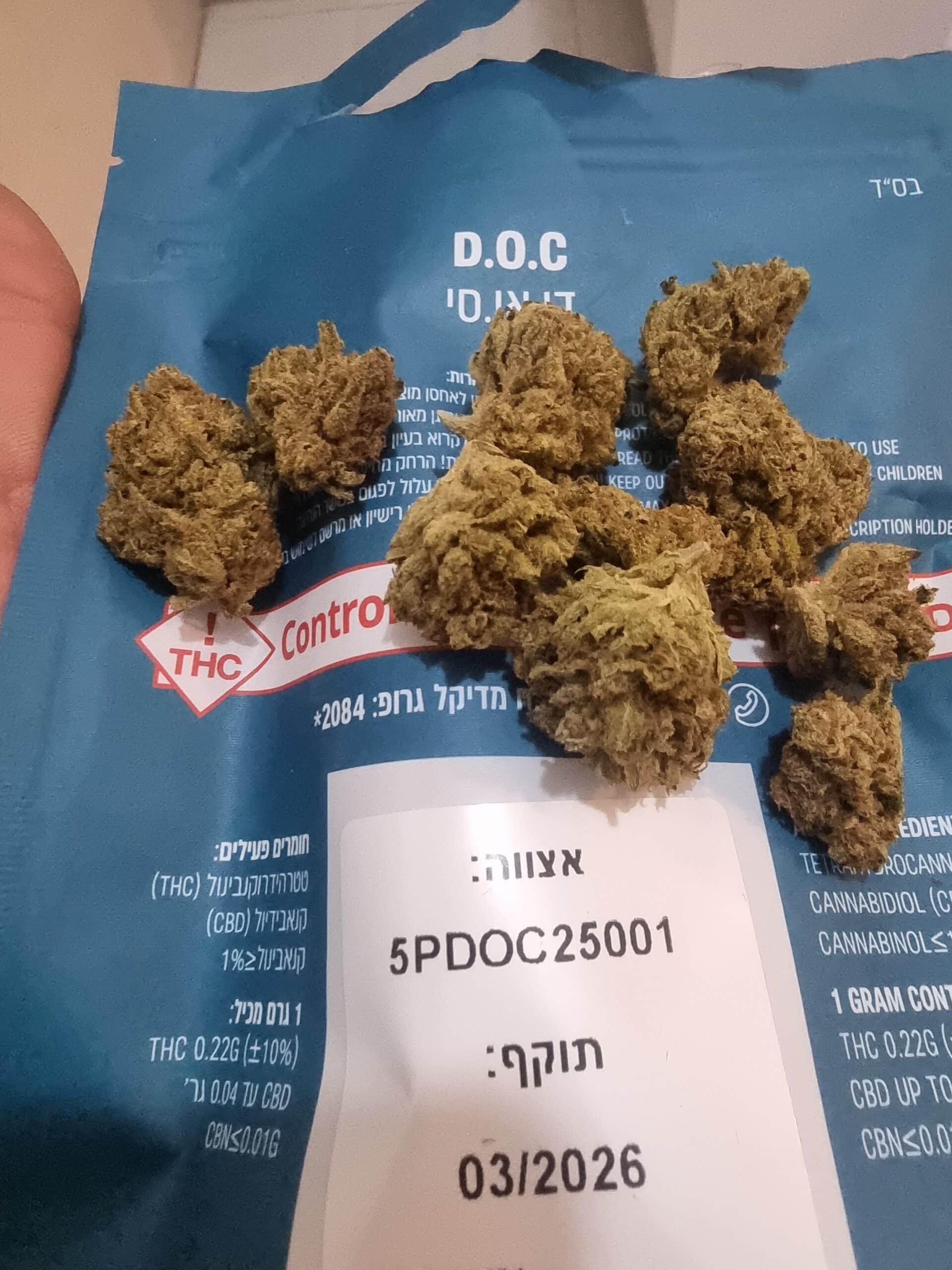 די.או.סי (D‎.‎O‎.‎C) – אינדיקה T22/C4