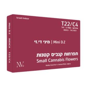 די.זי מיני (D.Z Mini) – אינדיקה T22/C4 די.זי מיני (D.Z Mini) – אינדיקה T22/C4