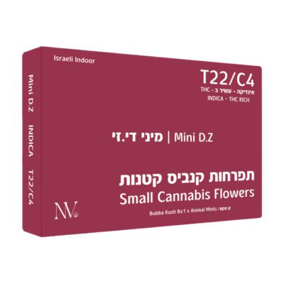 די.זי מיני (D.Z Mini) – אינדיקה T22/C4