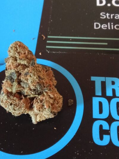 די.סי (D.C) – היבריד T22/C4