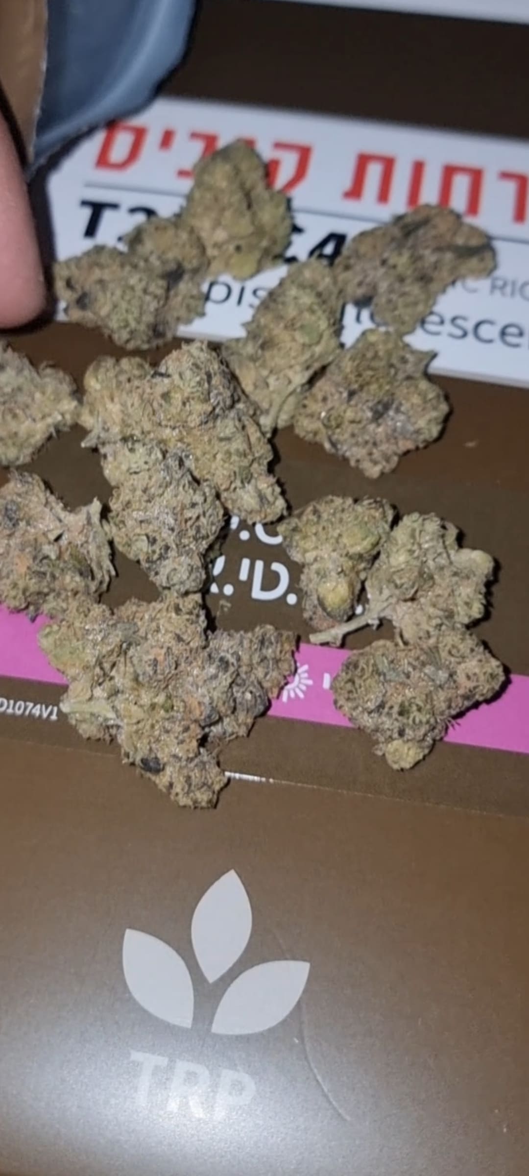 די.סי.טי.אר (D.C.T.R) – היבריד T22/C4