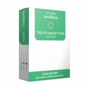 דייבריד (Daybreed) – היבריד T22/C4