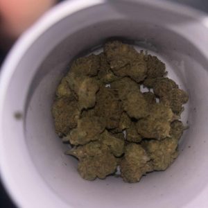 דרבן בריז (Durban Breeze) – סאטיבה T15/C3