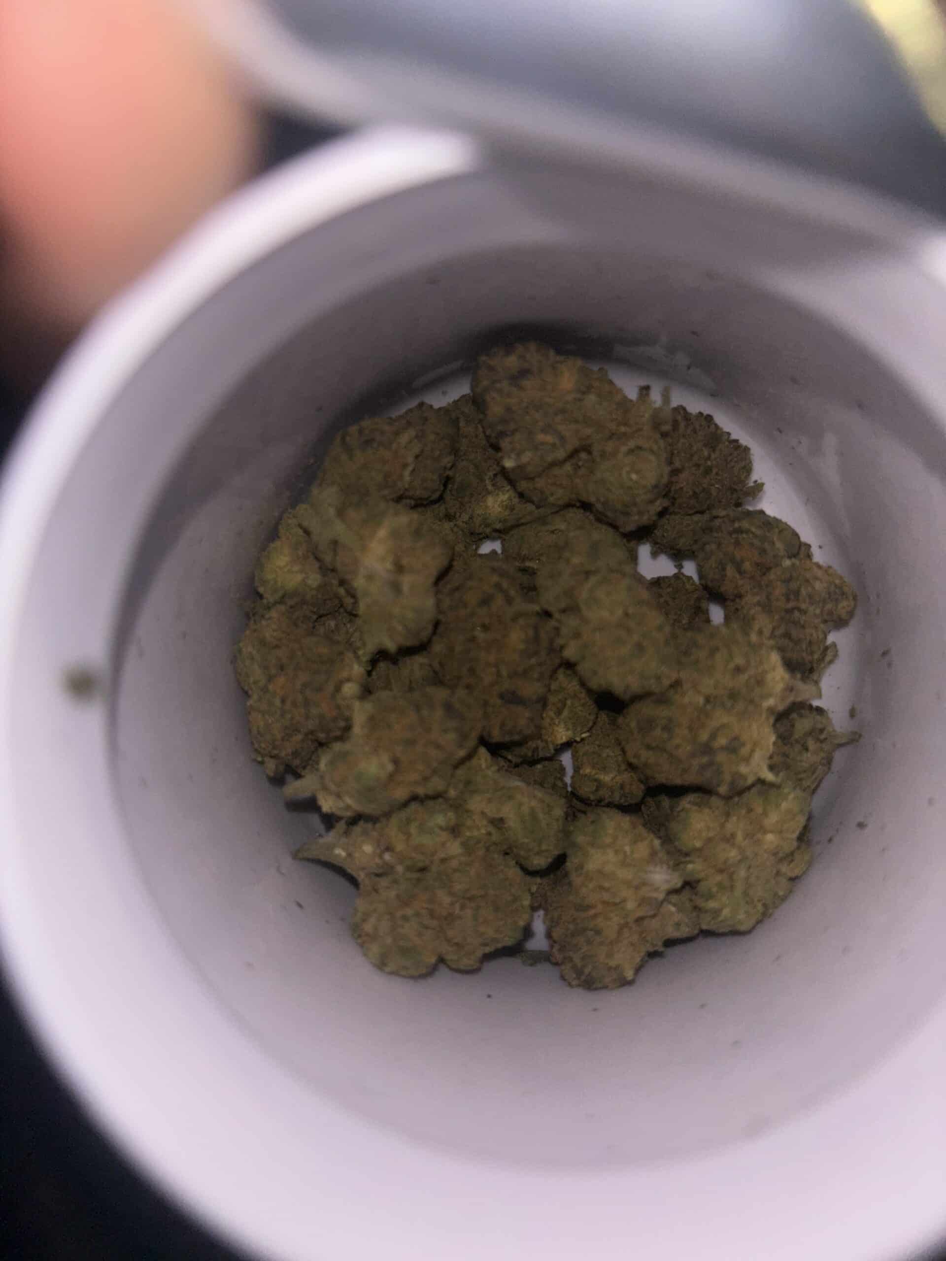 דרבן בריז (Durban Breeze) – סאטיבה T15/C3