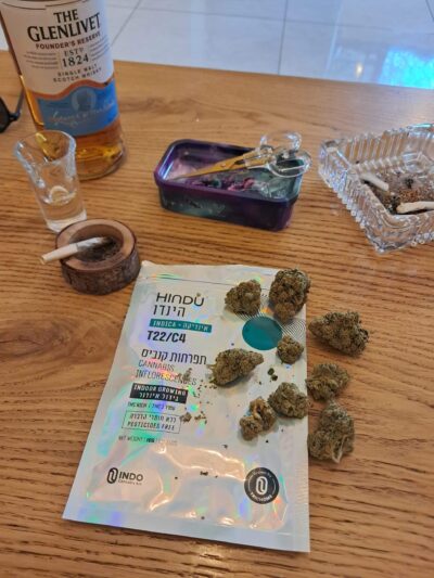 הינדו (Hindu) – אינדיקה T22/C4