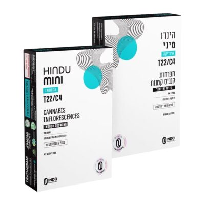 הינדו מיני (Hindu Mini) – אינדיקה T22/C4