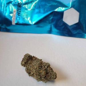 וואוזרס (Wowzers) – היבריד T22/C4