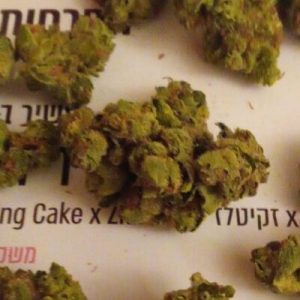 וודינג זד (Wedding Z) – היבריד T22/C4