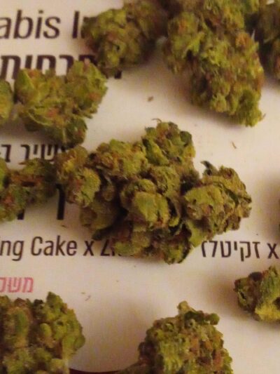 וודינג זד (Wedding Z) – היבריד T22/C4