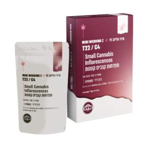 וודינג זד מיני (Wedding Z Mini) – היבריד T22/C4