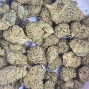 וויט (White) – סאטיבה T22/C4