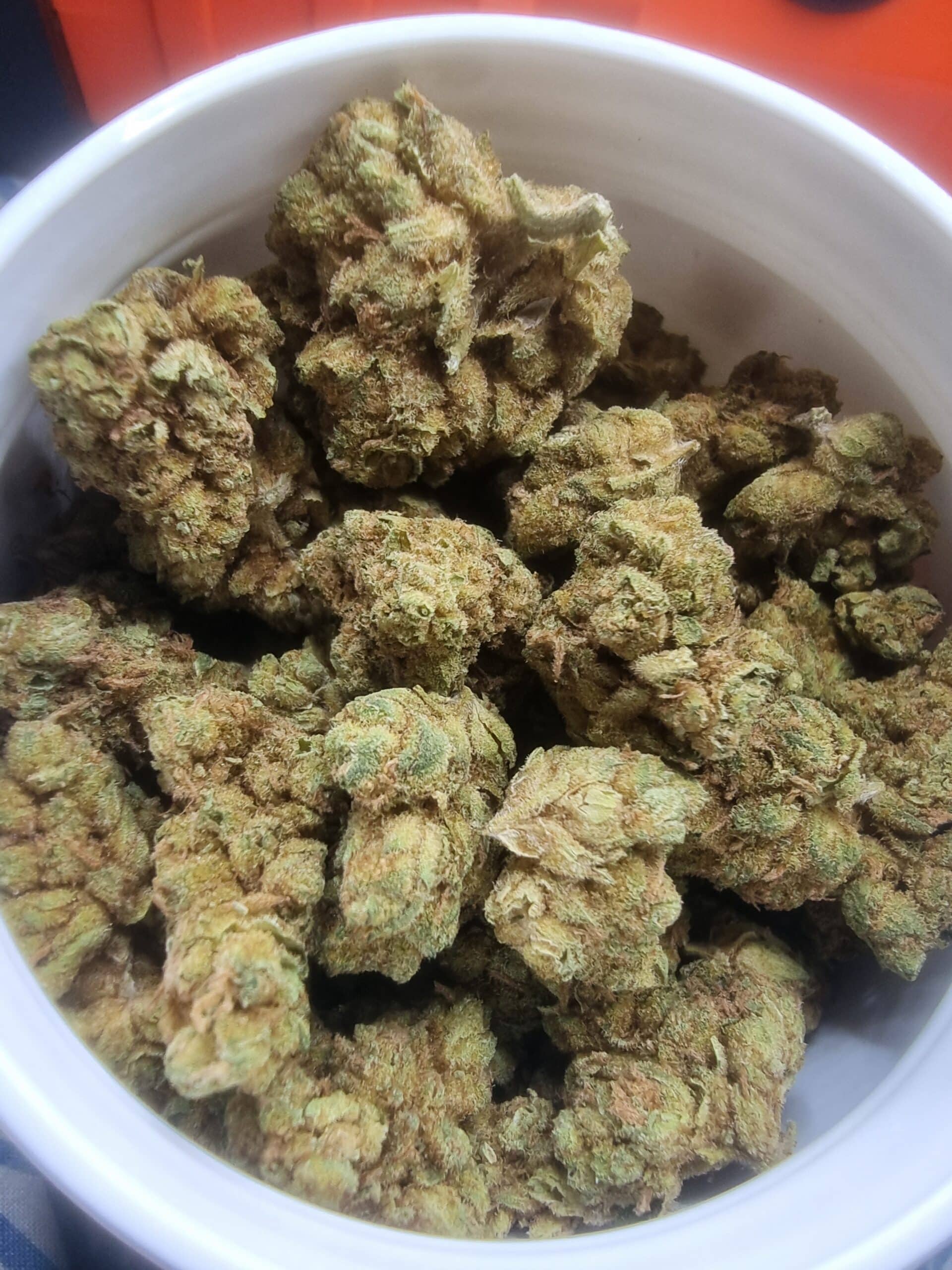 וויט מיני (White Mini) – סאטיבה T22/C4