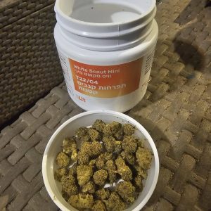 וויט סקאוט מיני (White Scout Mini) – היבריד T22/C4