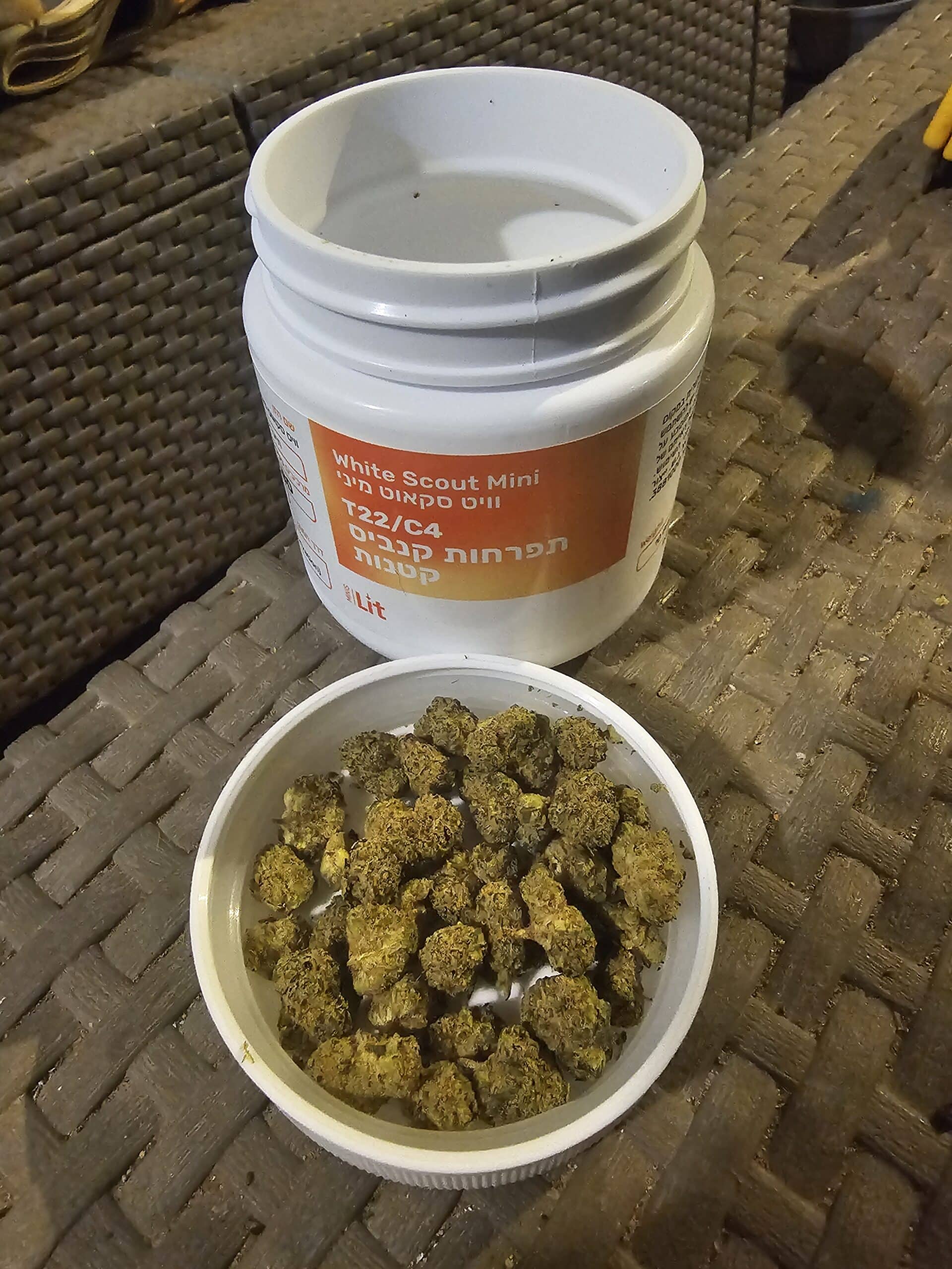 וויט סקאוט מיני (White Scout Mini) – היבריד T22/C4