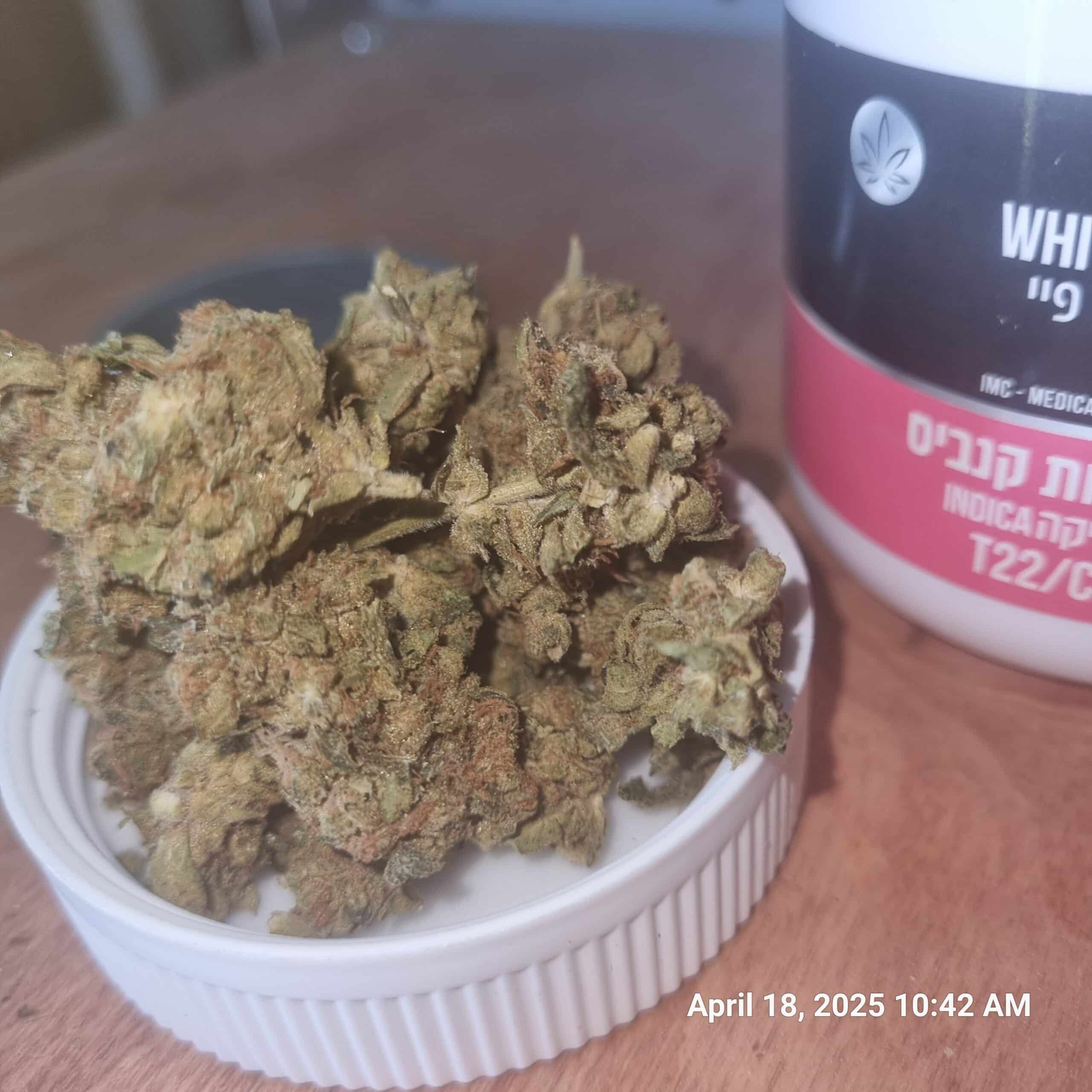 וויט פיי (White FI) – אינדיקה T22/C4