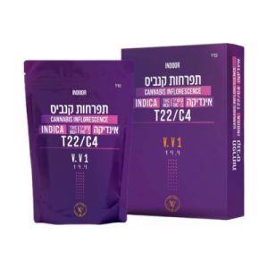 וי. וי 1 (V. V 1) – אינדיקה T22/C4