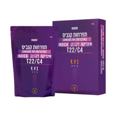 וי. וי 1 (V. V 1) – אינדיקה T22/C4