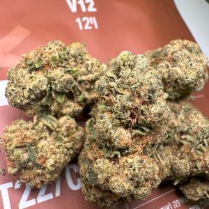 וי12 (V12) – אינדיקה T22/C4