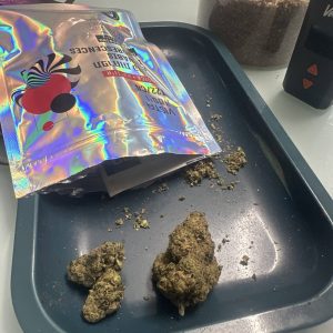 ויסטה (Vista) – אינדיקה T22/C4