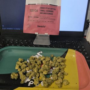 ויק מיני (Vic Mini) – סאטיבה T22/C4