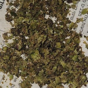 זד 11 (Z11) – אינדיקה T22/C4