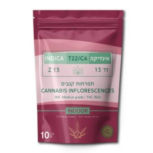 זד 13 (Z13) – אינדיקה T22/C4