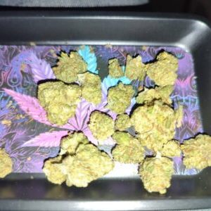 זד 3 (Z3) – אינדיקה T22/C4