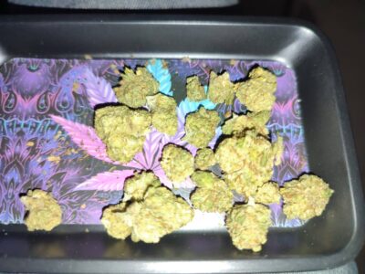 זד 3 (Z3) – אינדיקה T22/C4