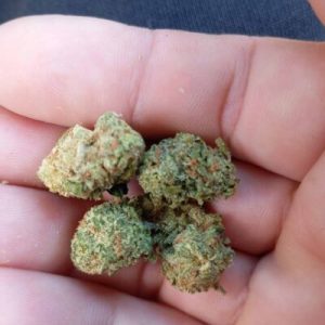 זד 4 (Z4) – היבריד T22/C4