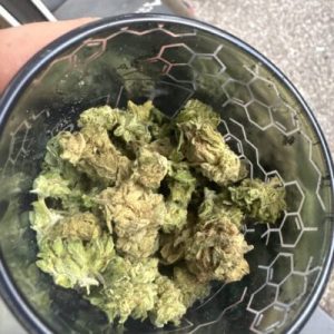 זד 5 (Z5) – היבריד T22/C4