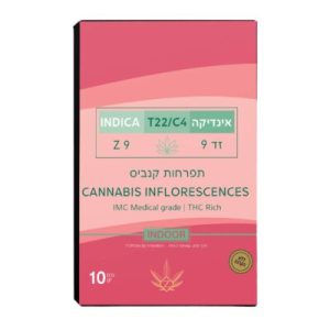 זד 9 (Z9) – אינדיקה T22/C4