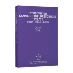 זד.ג'י. (Z.G.) – אינדיקה T22/C4