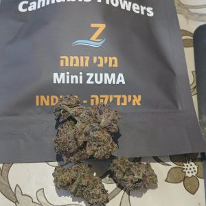 זומה מיני (Zuma Mini) – אינדיקה T22/C4