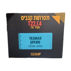 טאזמן (Tasman) – סאטיבה T22/C4