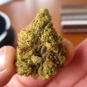 טאנג'לו (Tangelo) – סאטיבה T22/C4