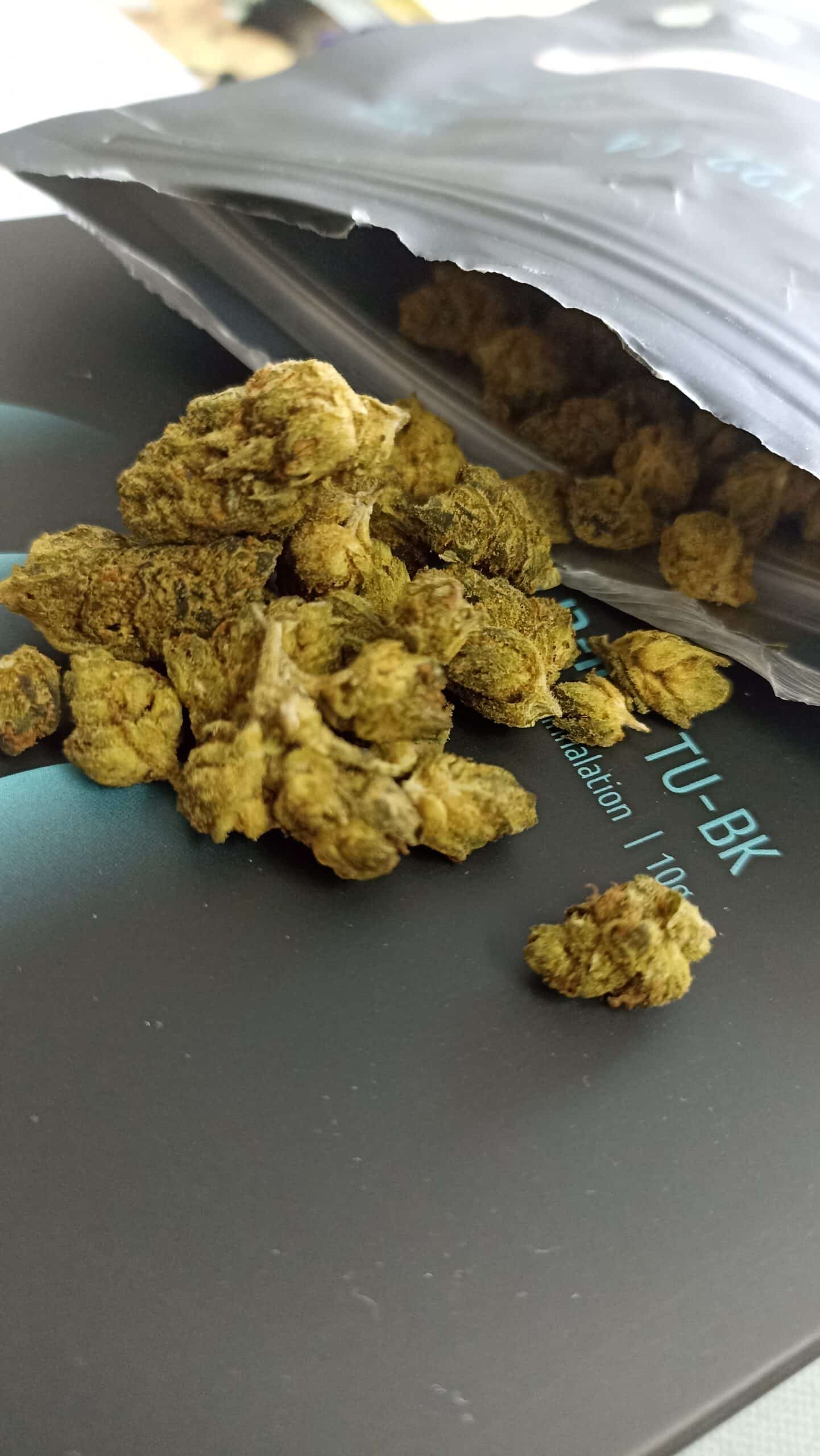 טו-בי.קיי (Tu-Bk) – סאטיבה T22/C4