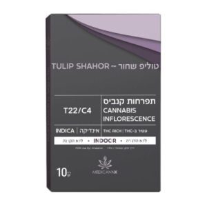 טוליפ שחור (Tulip Shahor) – אינדיקה T22/C4