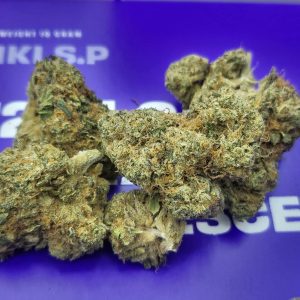 טיקי אס.פי (Tiki S.P) – אינדיקה T22/C4