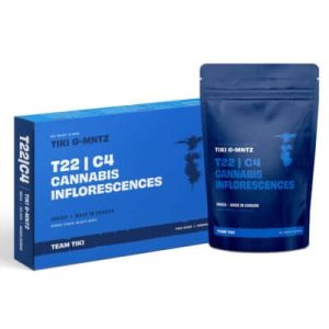 טיקי ג'י-מנטז (Tiki G-MNTZ) – אינדיקה T22/C4